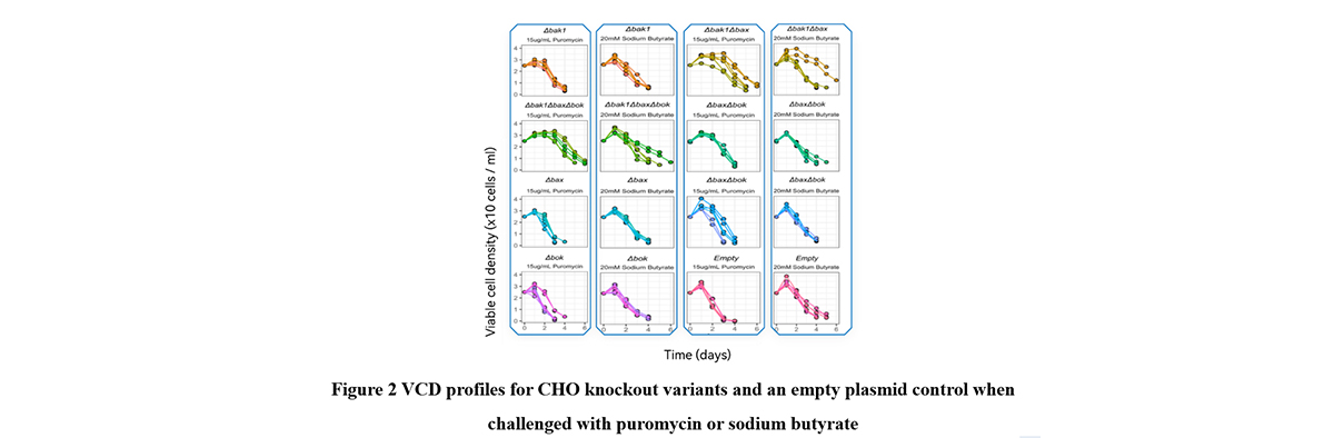 1662354906218750.jpg 图层-375.jpg