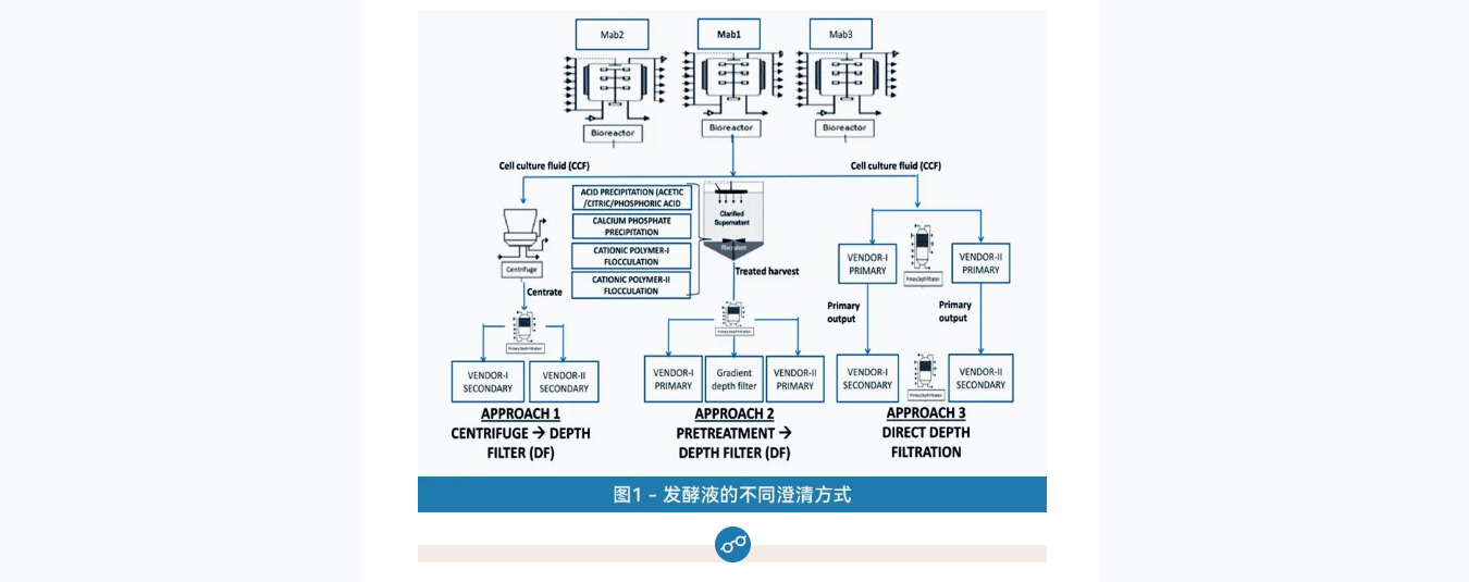 1663233551207187.jpg 1.jpg