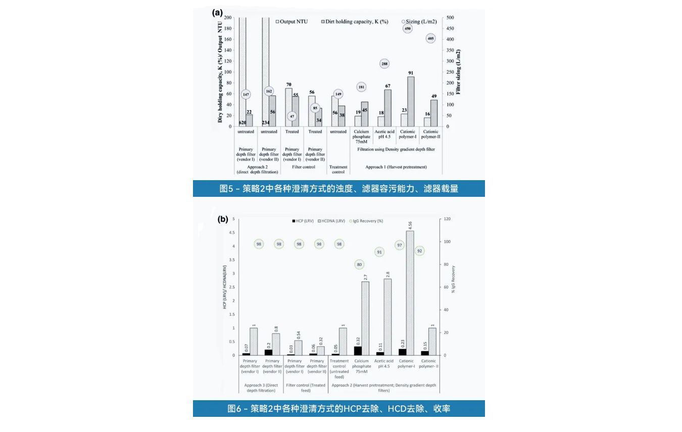 1663234150992807.jpg 5.jpg