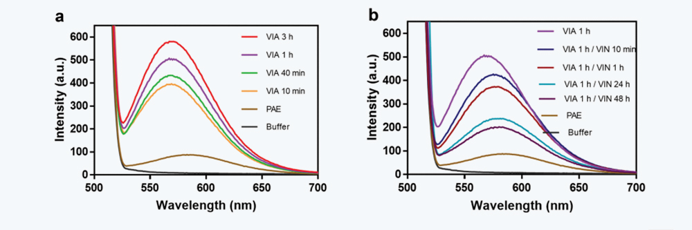 1666582482894889.jpg 图3.jpg