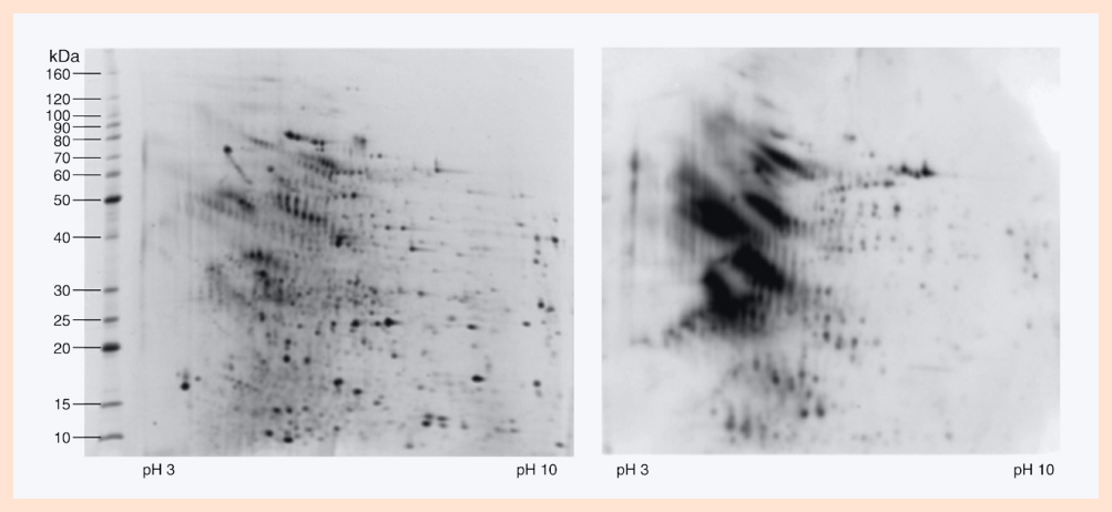 1671690972294309.jpg 7.jpg