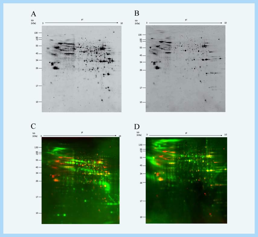 1671691156729960.jpg 9.jpg