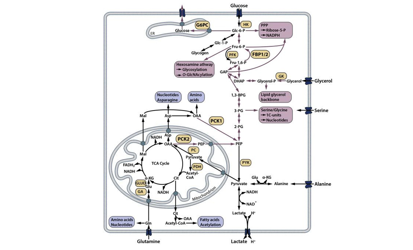 1695711754459019.jpg 图层-4-拷贝-2.jpg