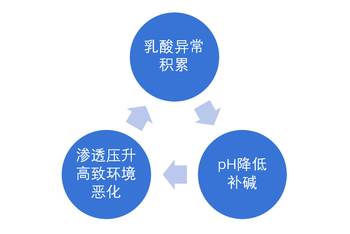 1695712173404685.jpg 图层-5.jpg