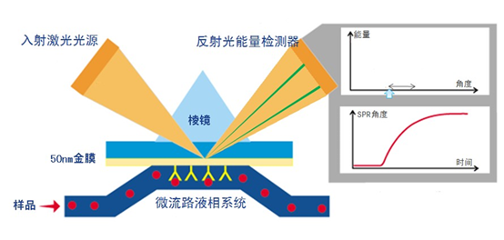 1748413883804189.jpg 1747360048(1).jpg