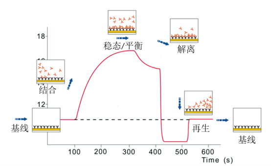 1748414179340173.jpg 1747360231(1).jpg